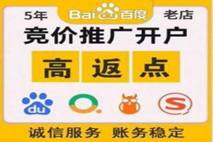 百度企业级服务推广的全面解决方案